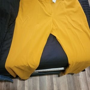 New York Company dress pants barely bootcut